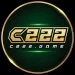 C222 Game logo